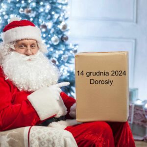 14 grudnia – Bilet dla dorosłego – Świąteczna Misja Elfów